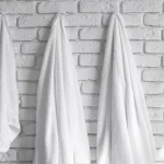Regal Bath Towel 22x44
