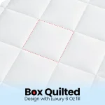 Luxury Flat Mattress Pad6