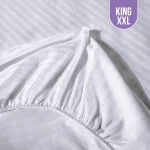 Striped Fitted bed sheet King XXL